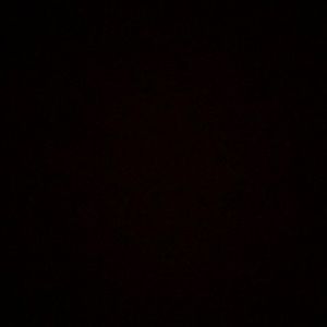 Meet your Posher, Annabelle